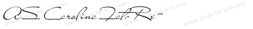 AS Carolina Fats Re字体转换